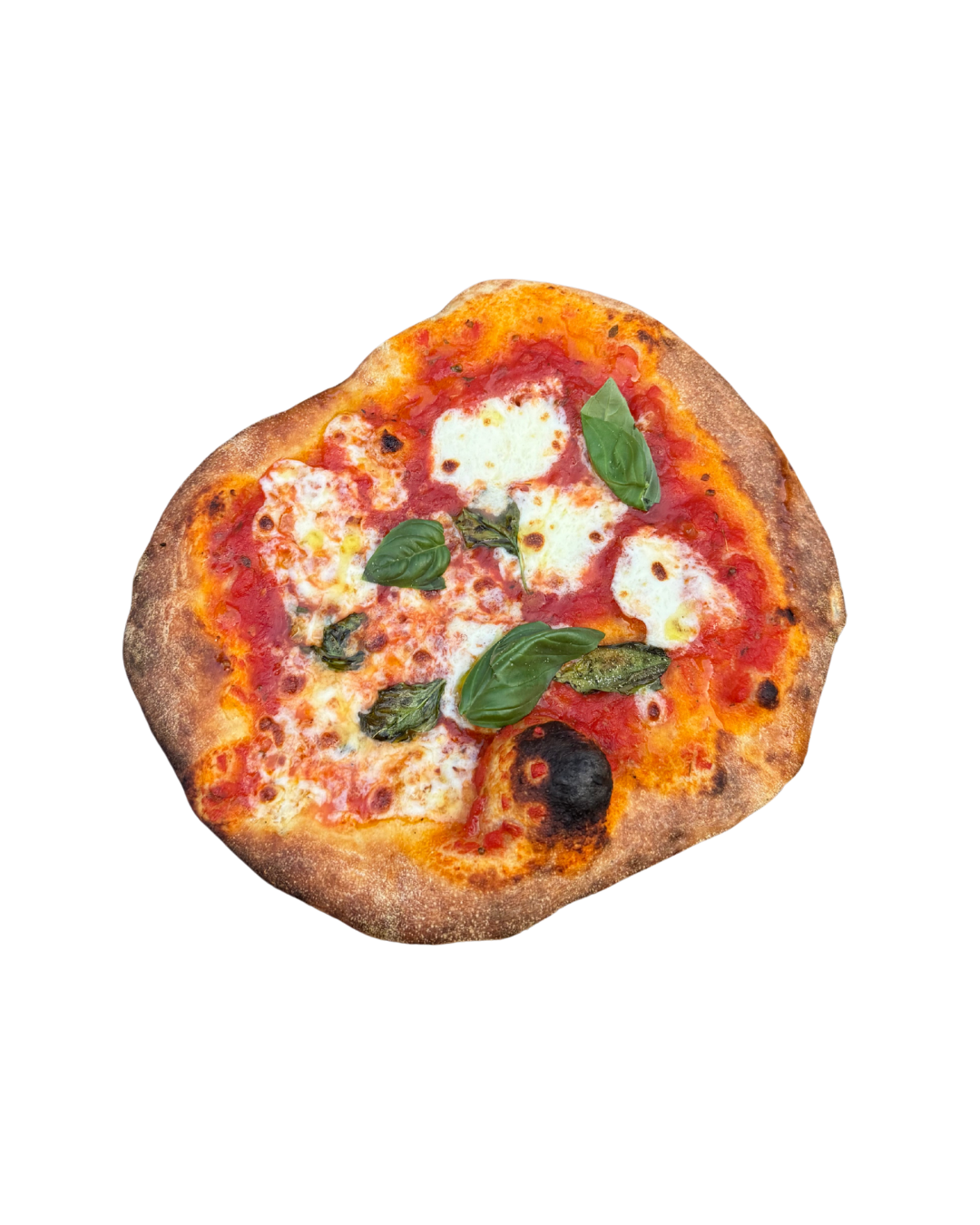Margherita pizza with basil