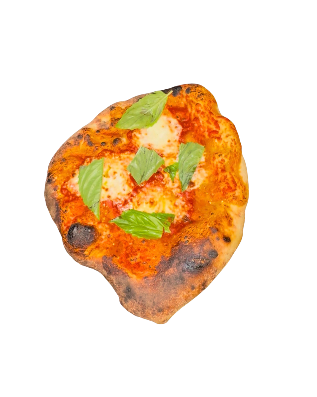 Wood-fired margherita pizza